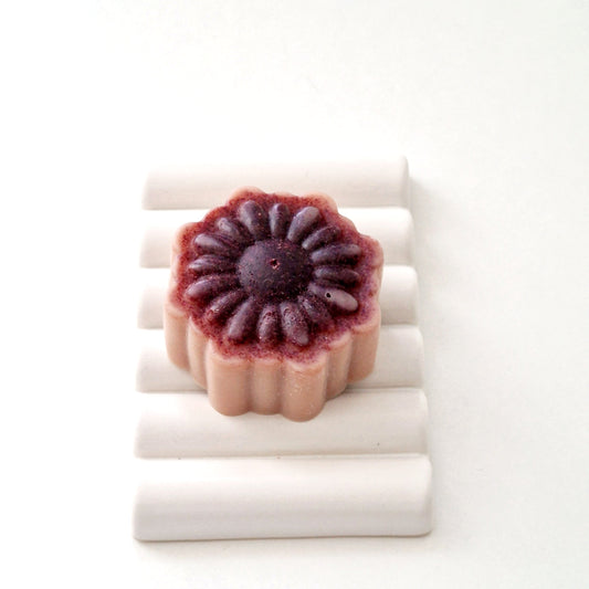 What makes Soypa shampoo and conditioner bar different